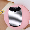 Pet wearing striped cotton T-shirt and matching skirt summer outfit