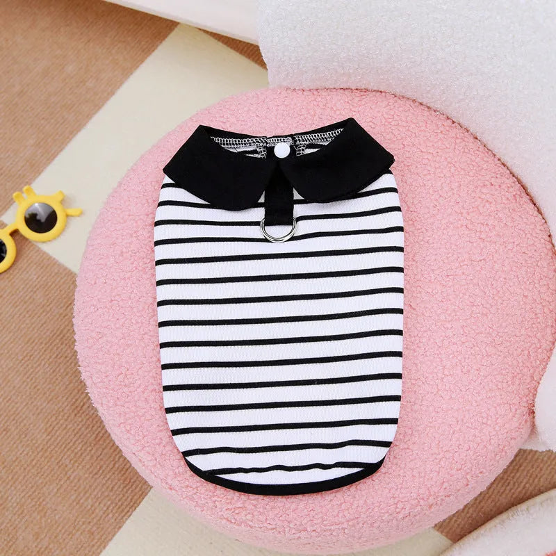 Pet wearing striped cotton T-shirt and matching skirt summer outfit