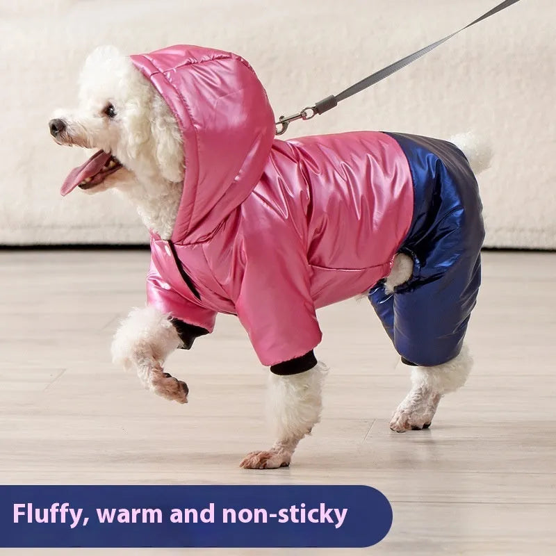 Green waterproof cotton-padded dog coat with four-legged design shown on medium-sized dog