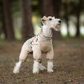 Four-leg dog cotton-padded jacket in Oxford fabric, khaki colour, worn on a dog, size M, for winter warmth