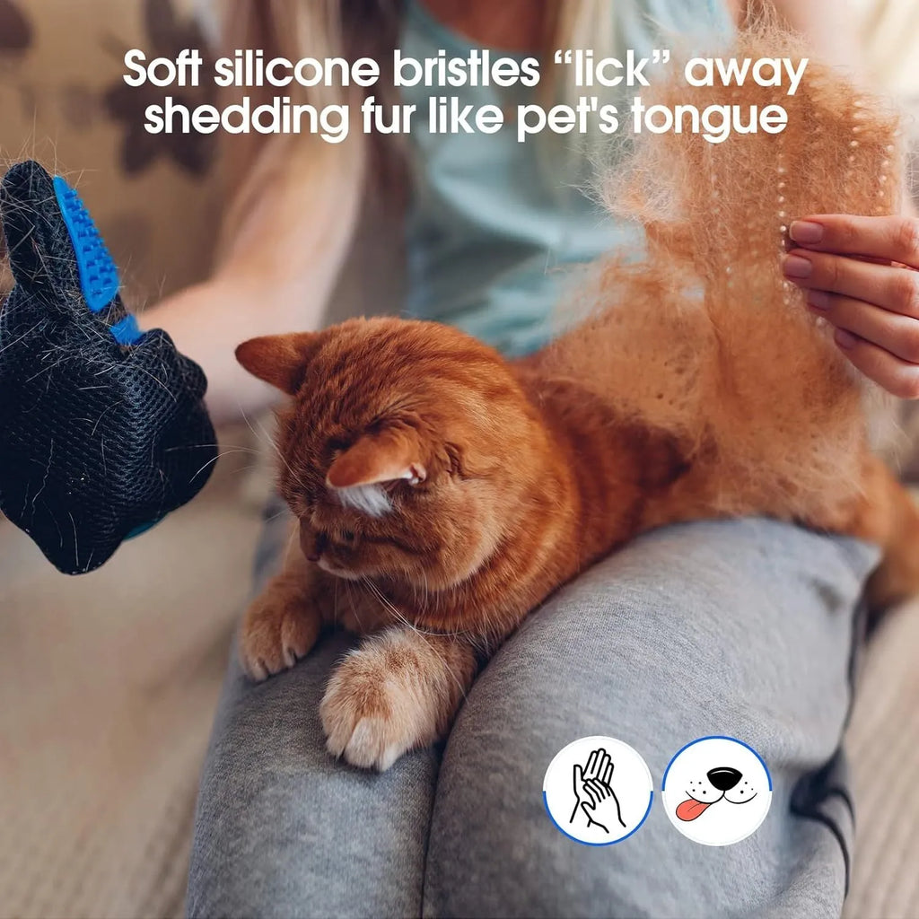 Blue pet grooming glove with silicone tips for dog cat horse hair removal during brushing and bathing