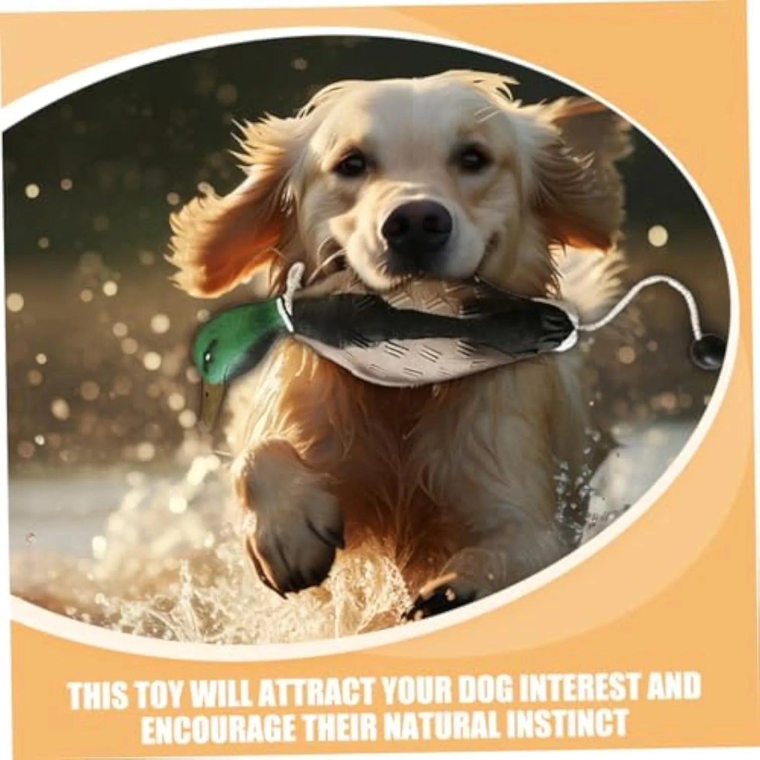 Green EVA duck dog toy with no stuffing and quacking sound, 35cm long, on white background