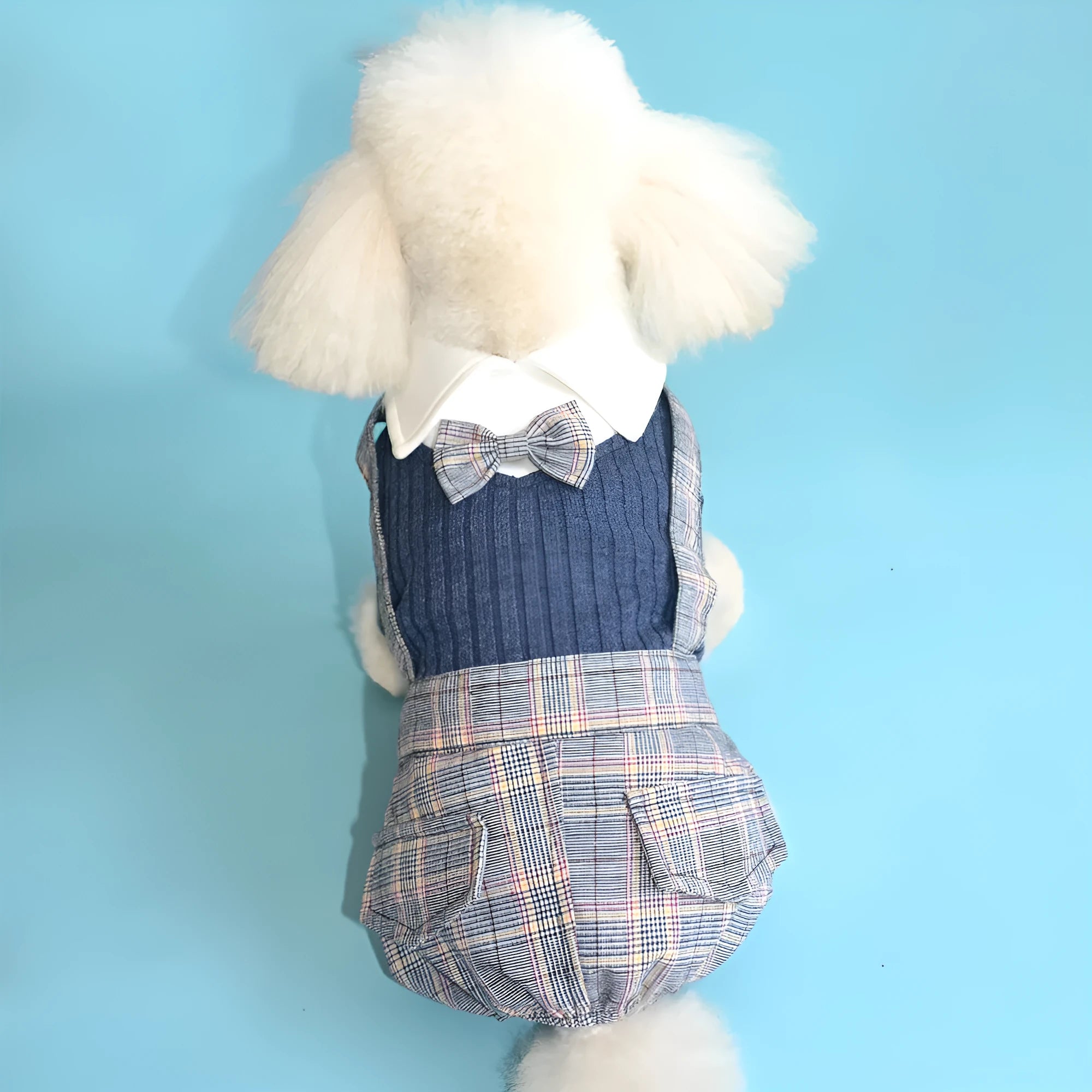Orange and dark blue cotton dog shirt suit for small dogs, available in sizes S to 2XL.