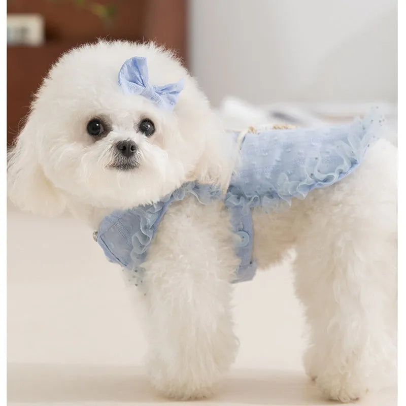 Small dog wearing two-tone blue country costume with ruffles, matching bow, and small woven crossbody bag