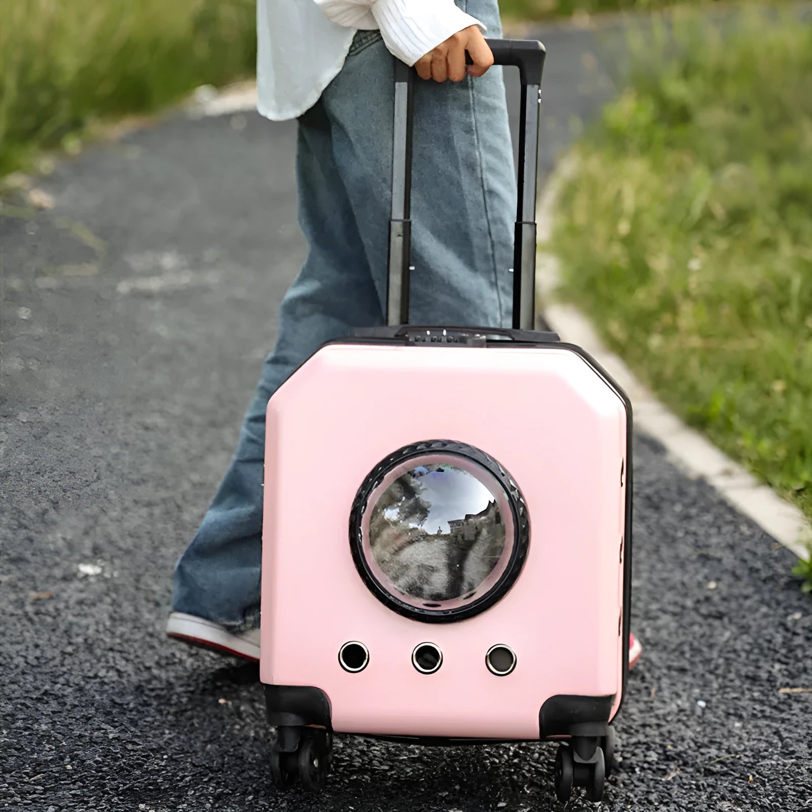 Hard-shell PVC pet flight trolley case for cats, shown in orange with wheels.