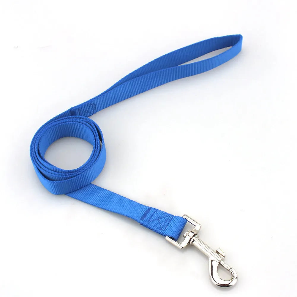 Solid colour polyester dog training lead with integrated hand-holding rope grip shown in blue.