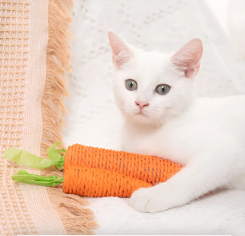 Assorted cat toys bundle showing carrot bites, ringing stones, sticks, and dental aids in two size options