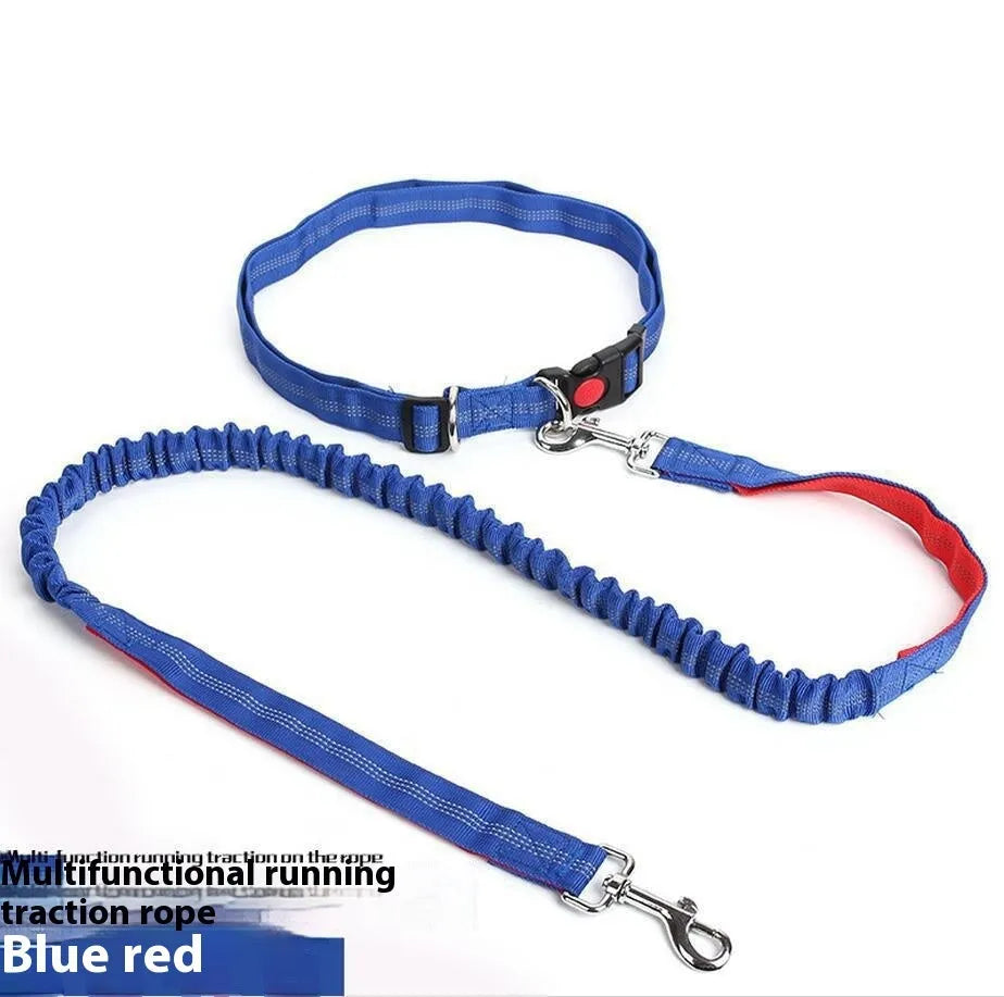 Two-tone reflective dog leash with elastic sling section for outdoor running