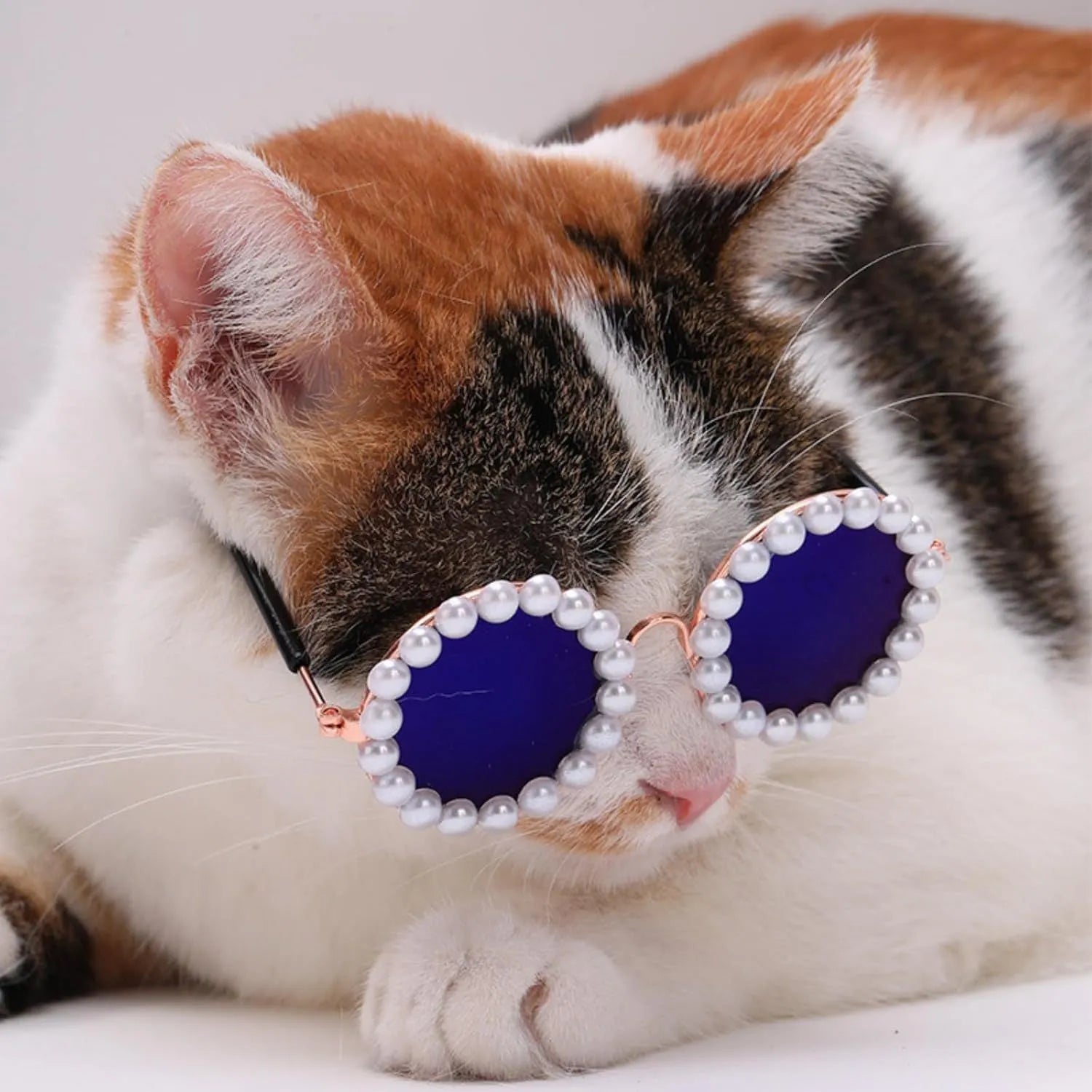 Pearl-rimmed round sunglasses for pets on cat and dog with black, blue, coffee, orange and purple colour options