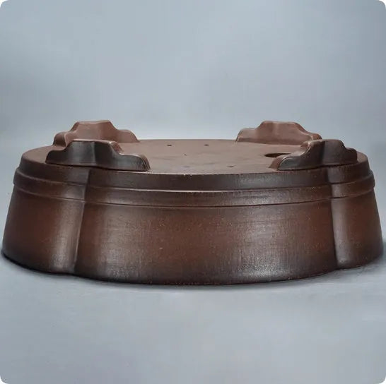 Classical purple clay flower pot for gardening with green plant old pile finish