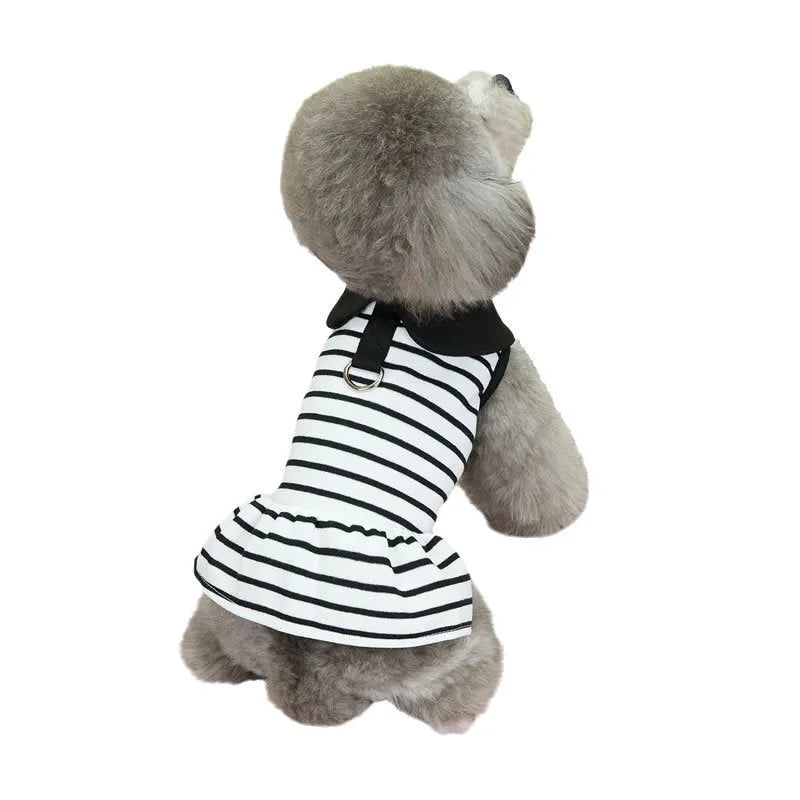 Pet wearing striped cotton T-shirt and matching skirt summer outfit