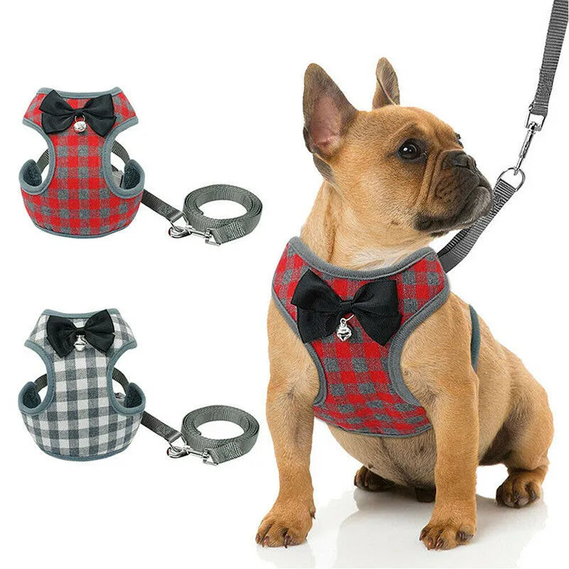 Gray cloth dog chest strap harness with buckle closure and leash on a light background