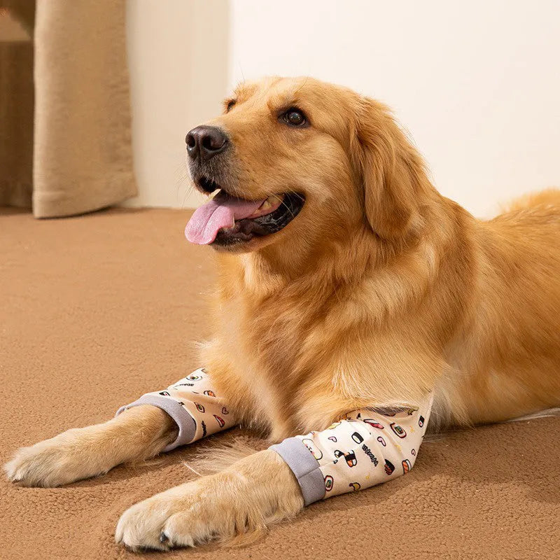 Adjustable dog knee protector pad with elbow padding and matching scarf in blue colour