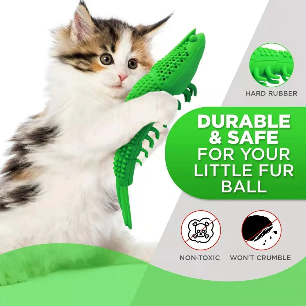 Blue hard rubber cat toy with teeth cleaning texture containing catnip and bell