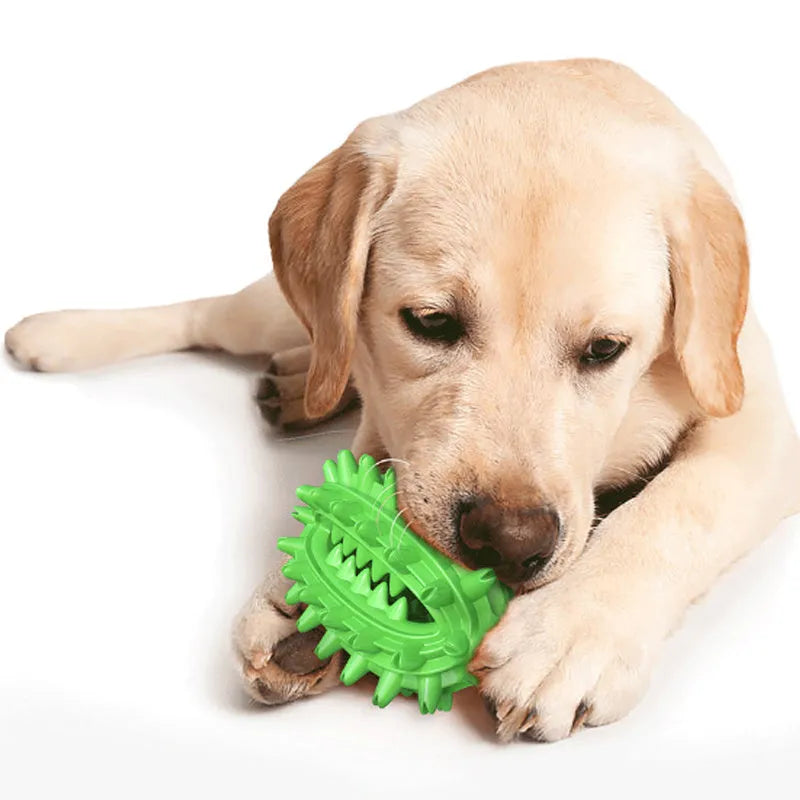 Green cactus-shaped dog toothbrush toy with textured bumps for dental cleaning