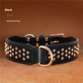 Black leather dog collar with metal anti-bite rivets, shown with chocolate and pink colour options.
