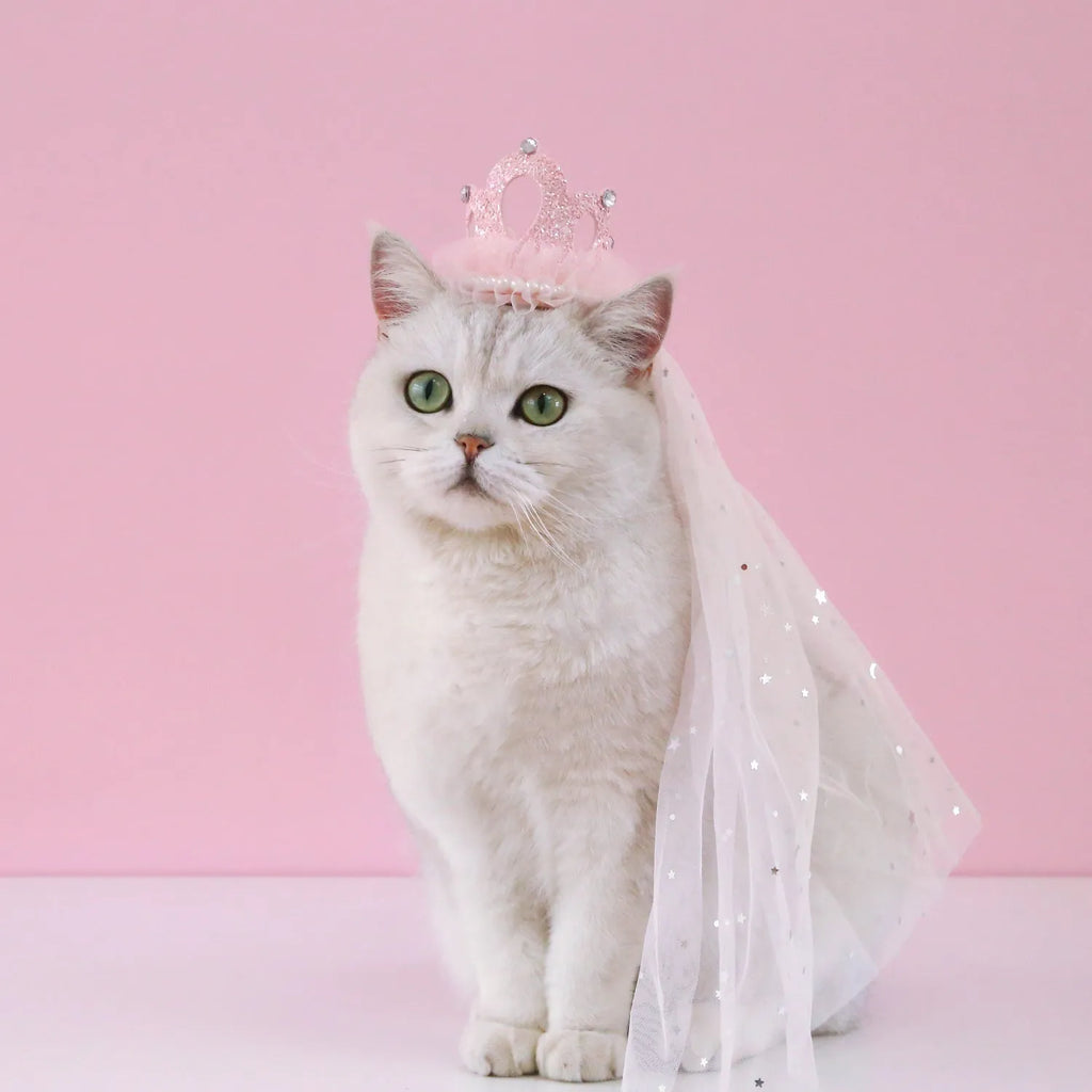 A cat wearing a princess crown headdress with a long, flowing veil for a wedding or celebration.