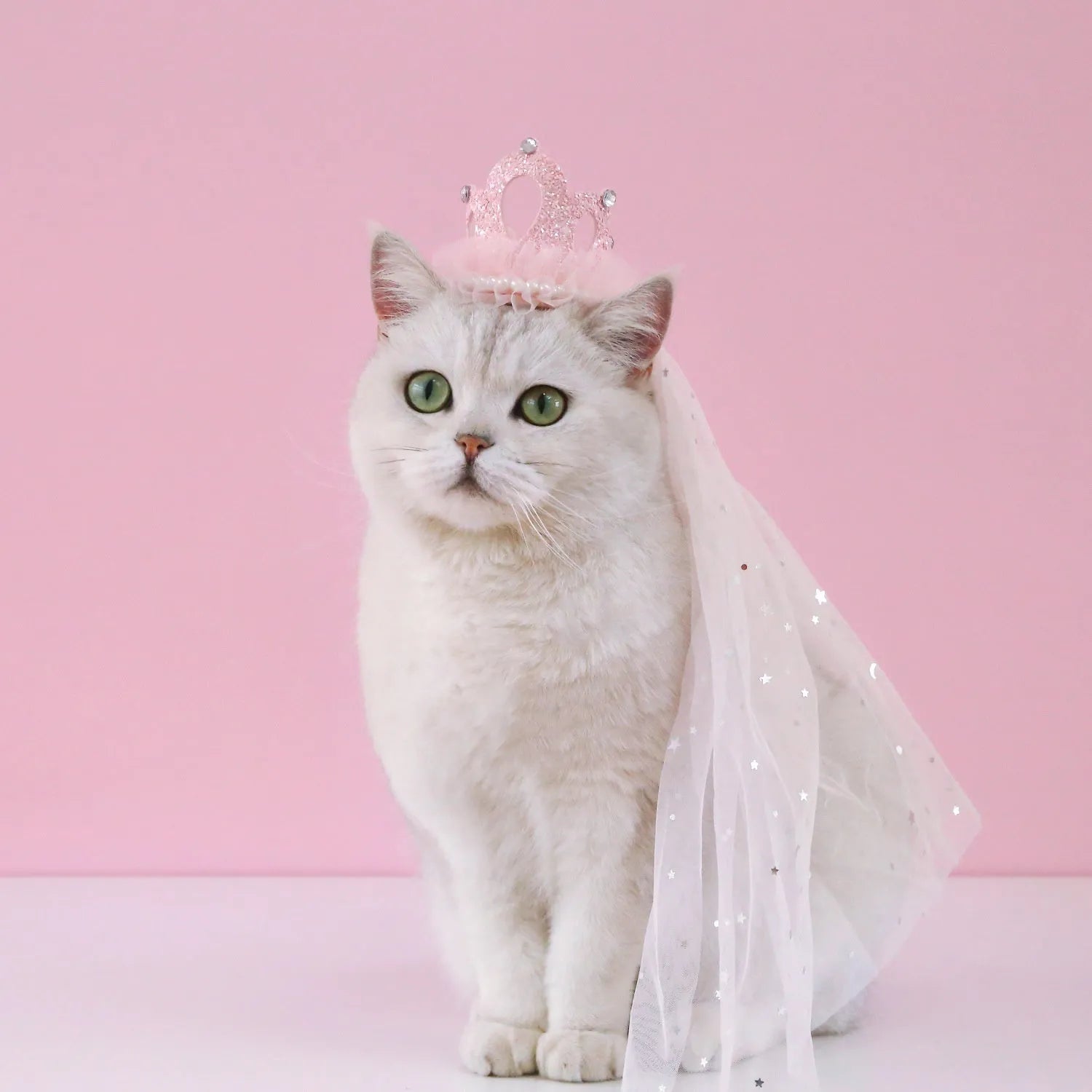 A cat wearing a princess crown headdress with a long, flowing veil for a wedding or celebration.