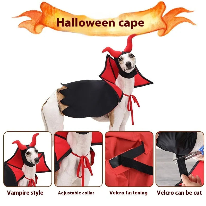 Black vampire cloak and hat Halloween costume for small pets on a dog or cat