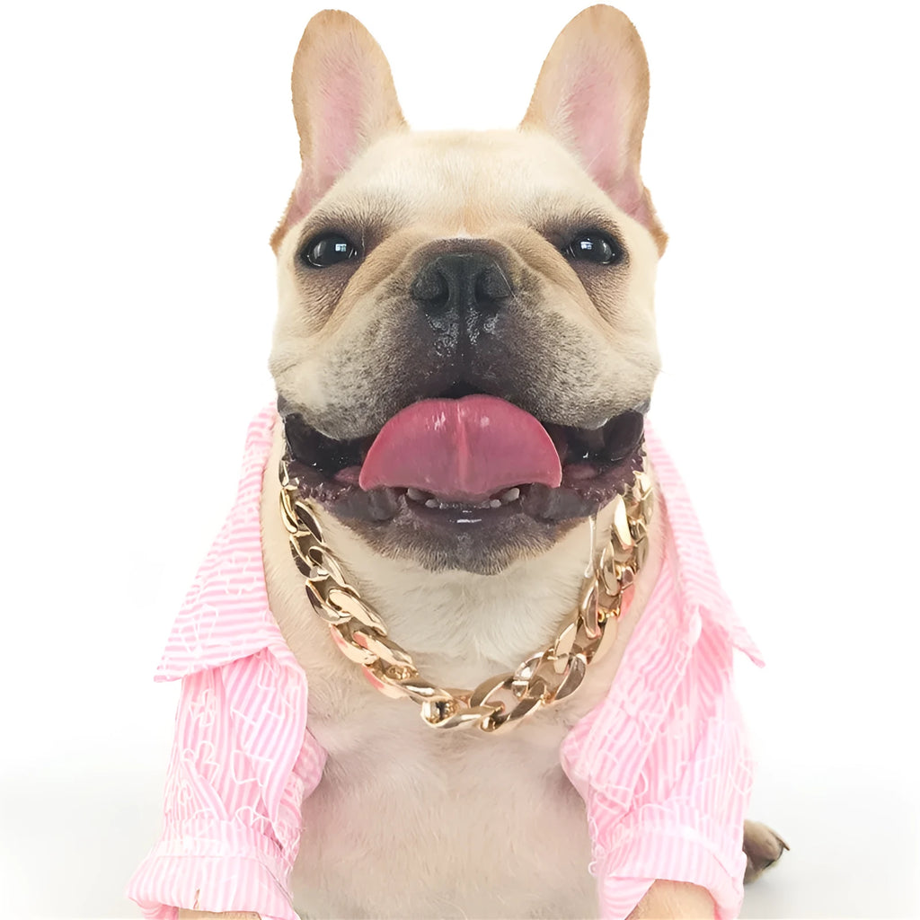 Geometric twisted chain dog collar in metallic colours showing adjustable buckle and chain links