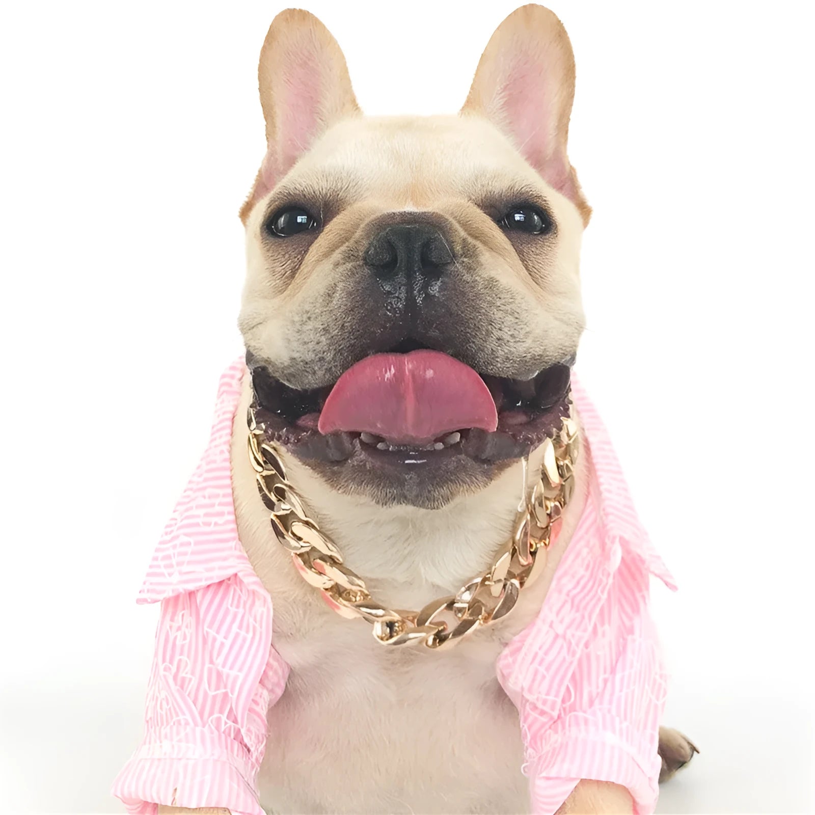 Geometric twisted chain dog collar in metallic colours showing adjustable buckle and chain links
