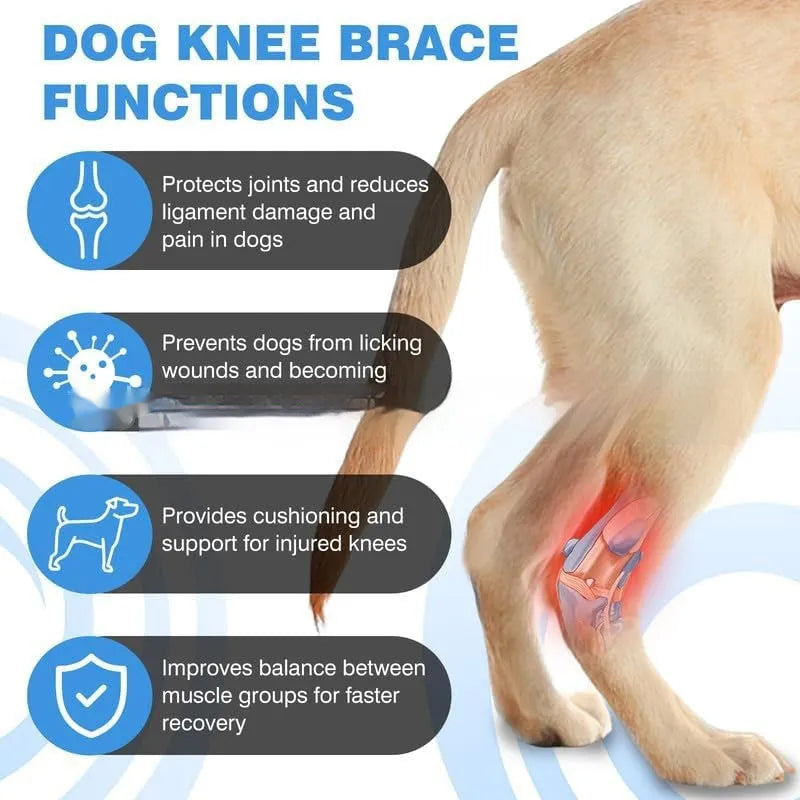 Black pet leg guard for ACL and joint protection showing adjustable fit and polyester construction