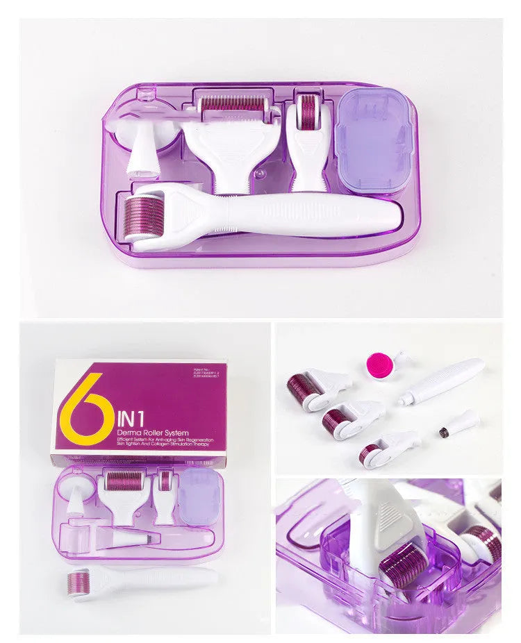 DermaKit 6-in-1 derma roller set with stainless steel needles, PC handle, face brush, and disinfection groove on white background