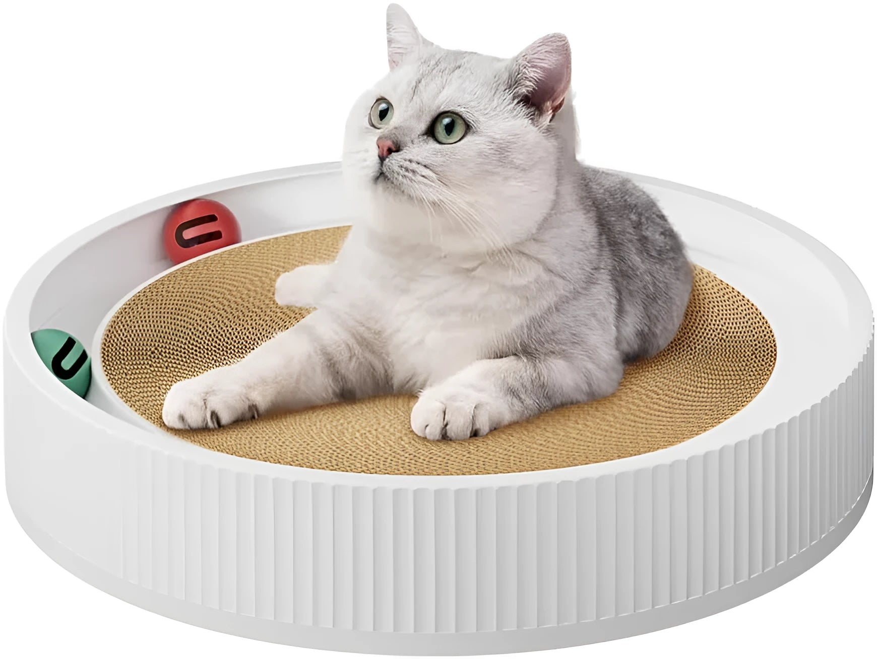 Large green circular cat scratching board with spring plush ball and moving bell toys