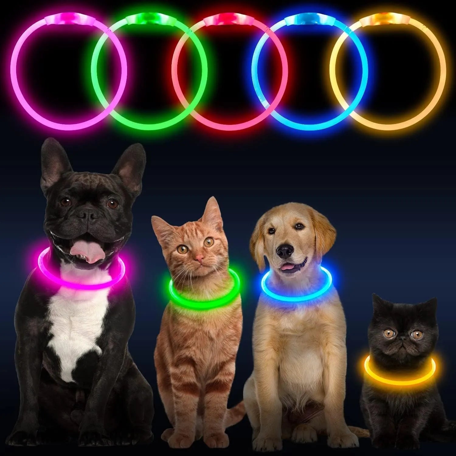 USB rechargeable LED dog safety collar with glowing light, adjustable 70cm TPU strap