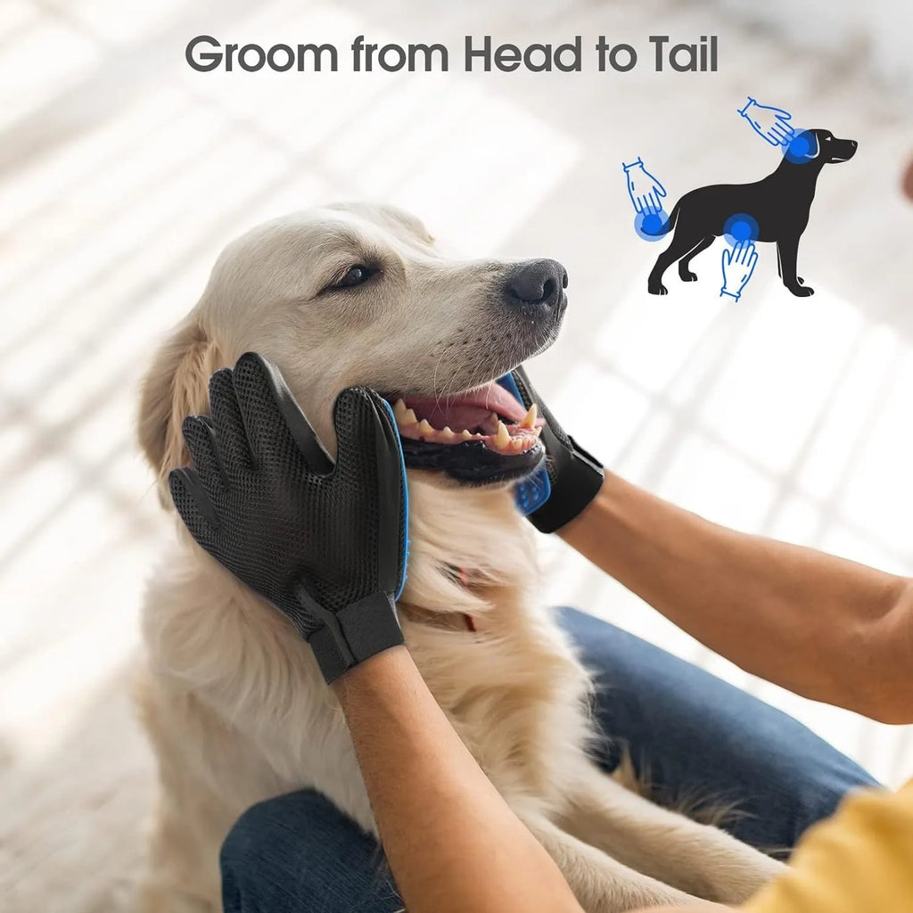 Blue pet grooming glove with silicone tips for dog cat horse hair removal during brushing and bathing