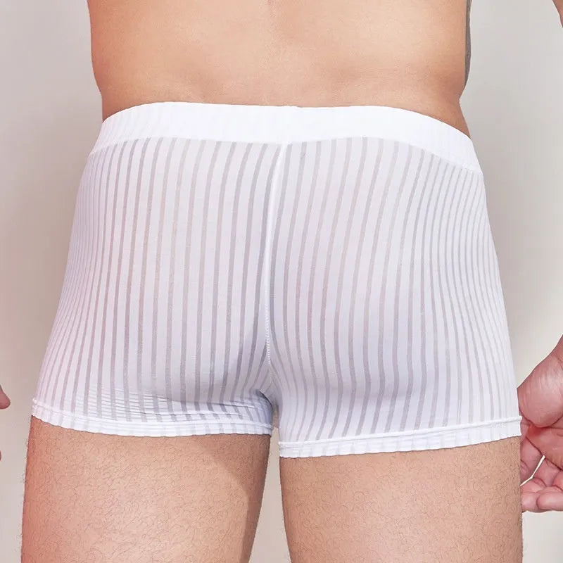 Men's striped thin transparent nylon underwear in black, dark grey and white colours