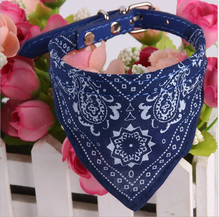 Pet triangle scarf in blue on a small dog, PU and canvas construction with adjustable neck fastening