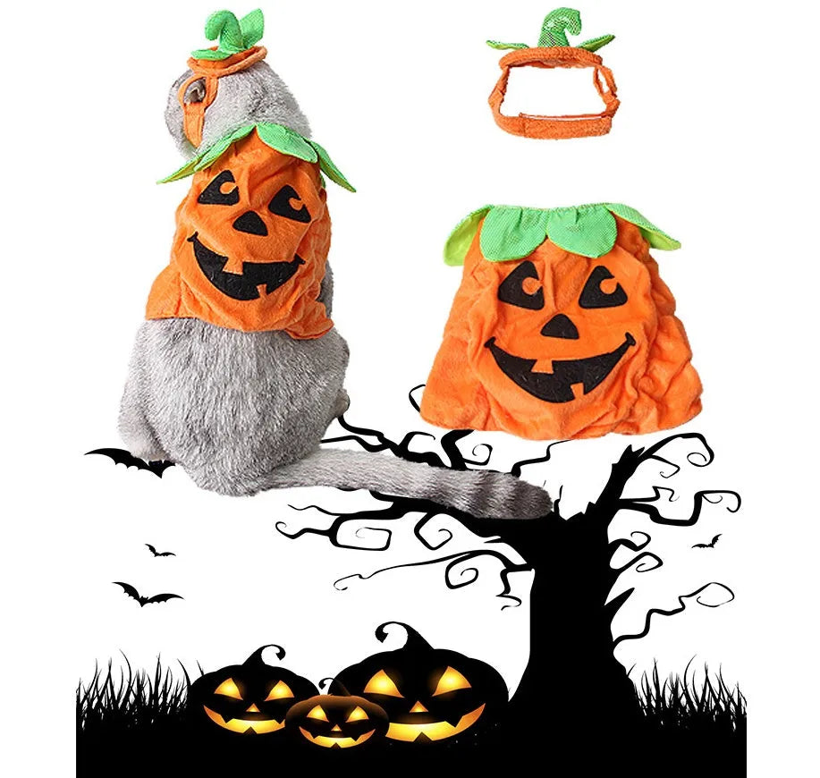 Halloween pumpkin pet costume for cats and small dogs with green leaf decoration and adjustable hat