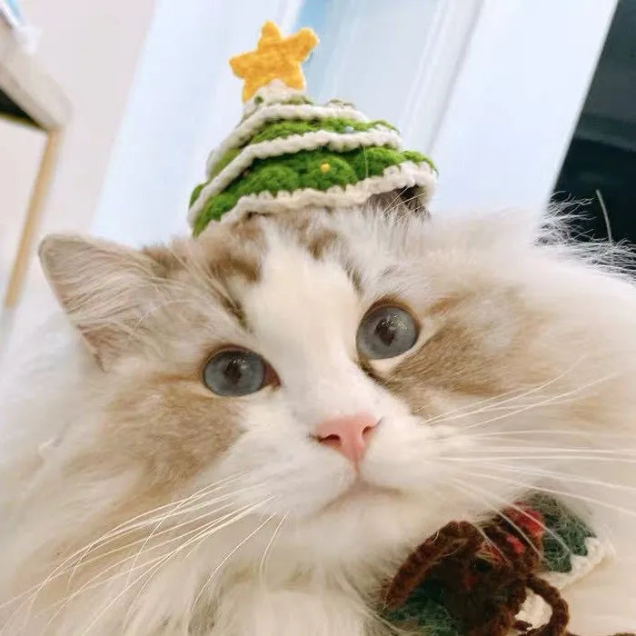 Green handmade woolen pet Christmas hat on a small dog with ins style