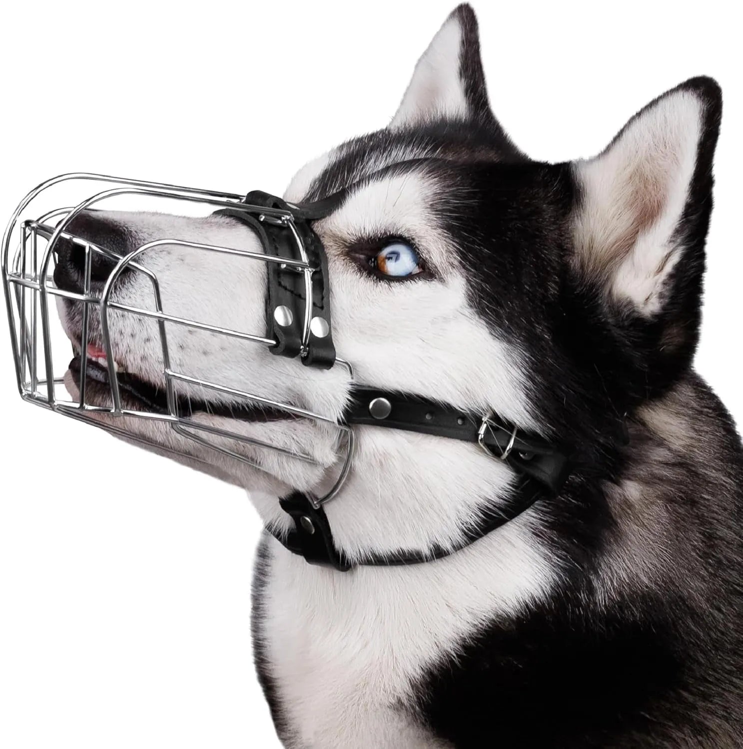 Black metal dog muzzle designed for Golden Retriever and German Shepherd breeds
