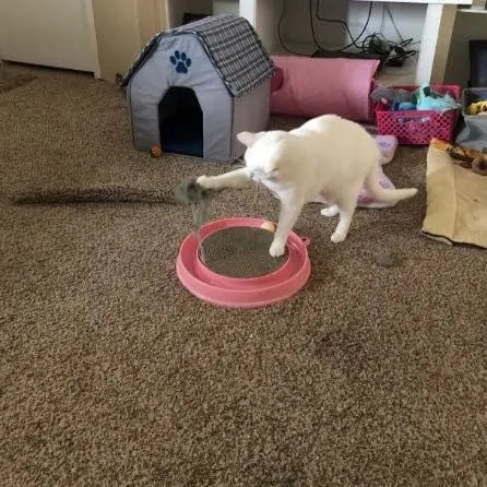 Round blue cat scratcher with ball track and corrugated cardboard surface