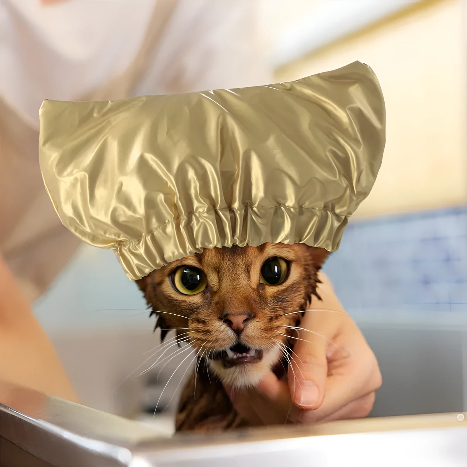 Adjustable ear-proof pet shower cap in non-woven fabric, shown in gold, pink, and silver colours.