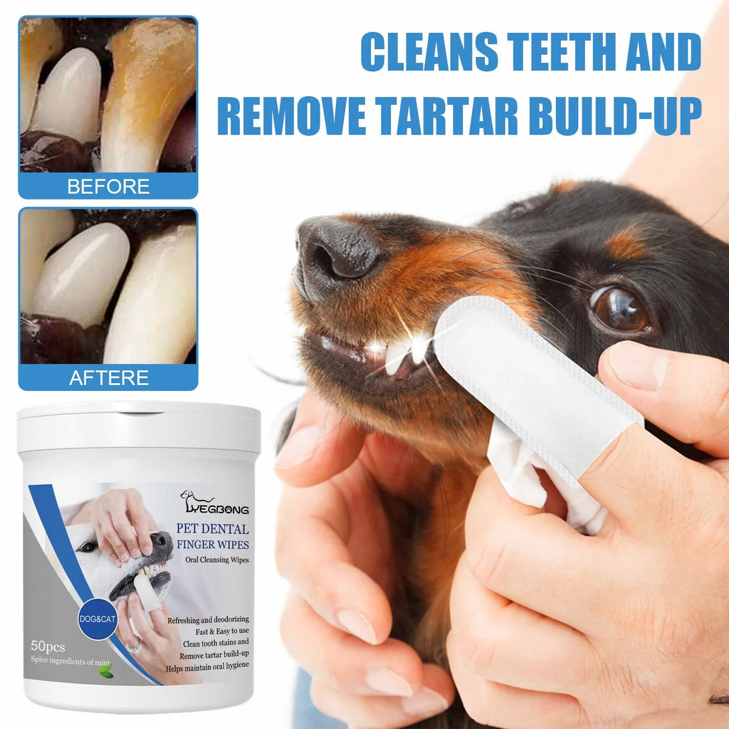 Canister containing 50 dog teeth cleaning finger wipes for canine oral hygiene and gum massage