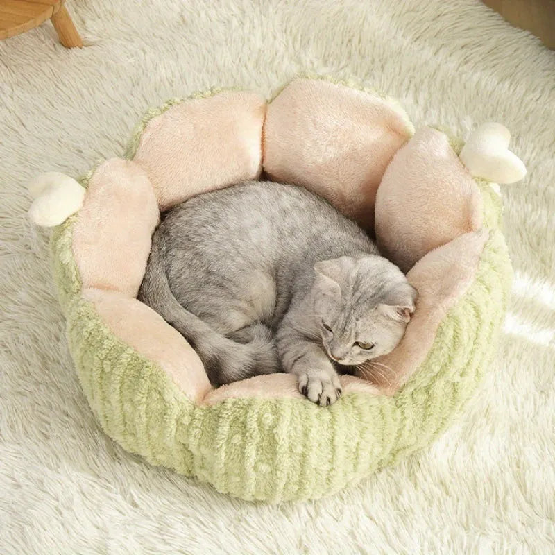 Soft purple and green cactus-shaped cat litter kennel bed for dogs and cats in large and small sizes