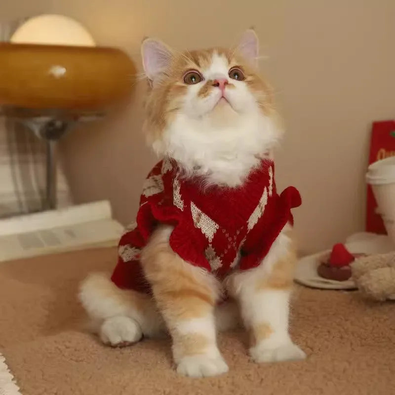 Red polyester cat sweater with rhombic embroidery cherry design, side view on white background