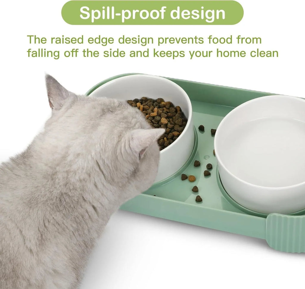 Green ceramic raised cat bowls on a tilted stand for anti-vomiting feeding