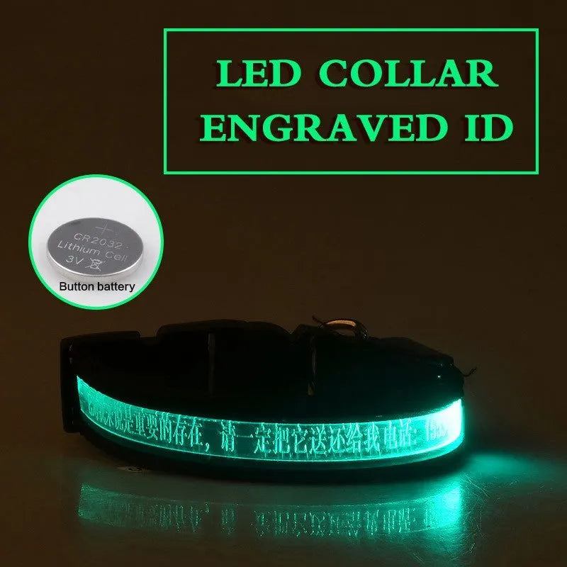 Pet glow collar with radium carved lettering in multiple colours and sizes for dogs