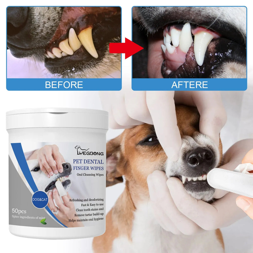 Canister containing 50 dog teeth cleaning finger wipes for canine oral hygiene and gum massage