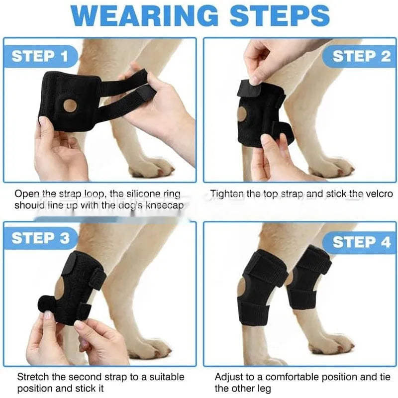 Black pet leg guard for ACL and joint protection showing adjustable fit and polyester construction