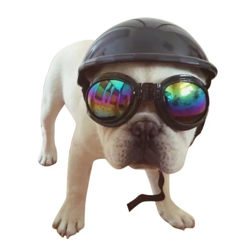 Plastic dog motorcycle-style helmet cap shown in multiple colours and sizes for small, medium, and large dogs.