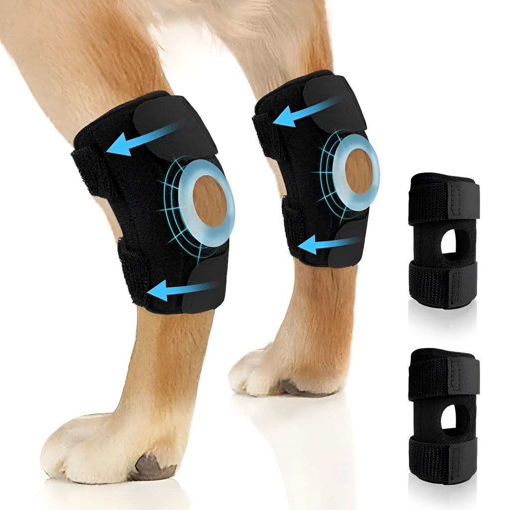 Black pet leg guard for ACL and joint protection showing adjustable fit and polyester construction
