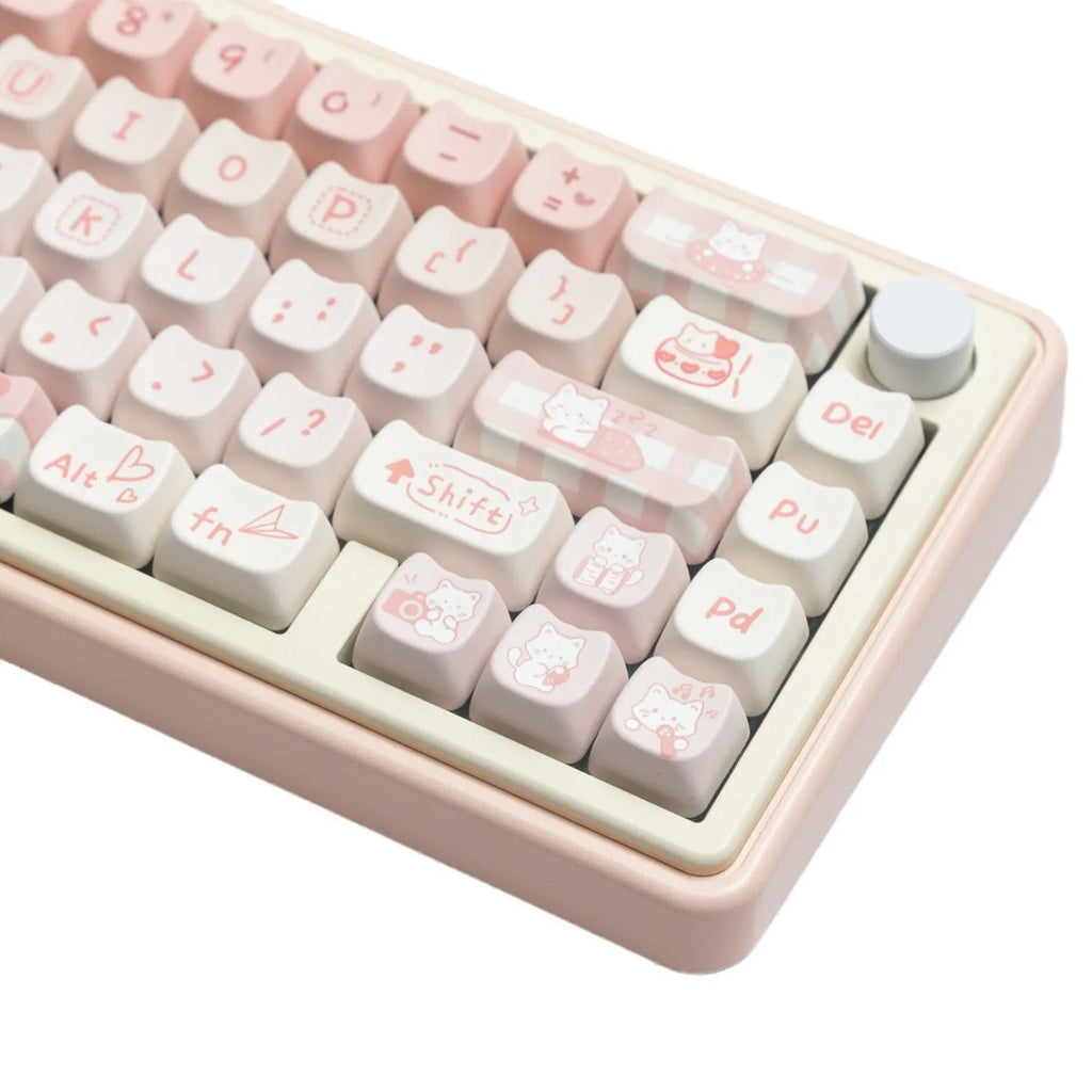 PBT sublimation key cap set for mechanical keyboards showing 98+ keys with sublimation printed legends
