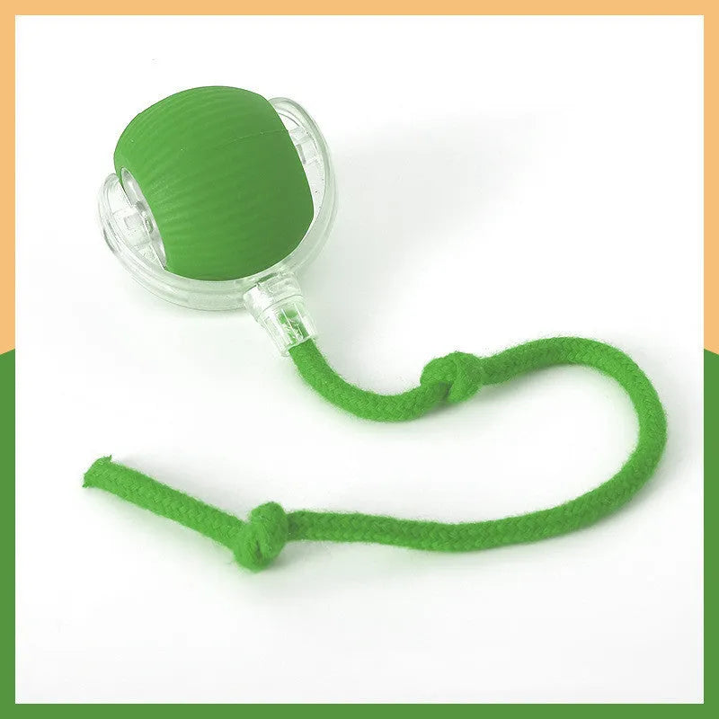 Silicone self-moving rolling ball cat toy in green, red, and grey colour options.