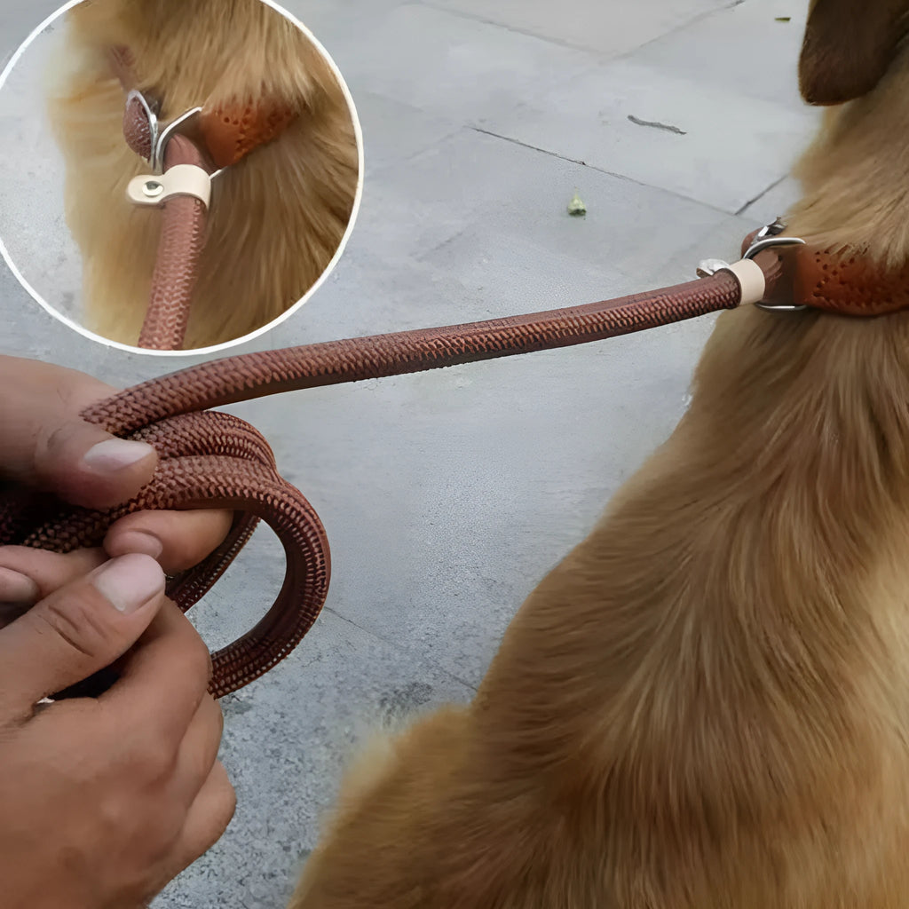 Brown dog leash with nylon P chain handle and rope section, 2.1 metres long