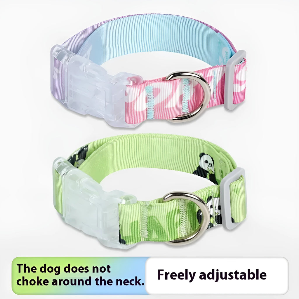 Adjustable nylon dog collar with cartoon gradient printing in small, medium, and large sizes